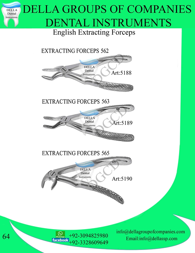 English Extracting Forceps